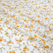 Cascade